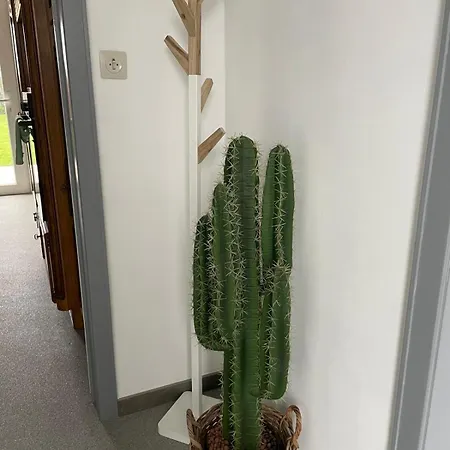 Appartement Les Hauts De Heusy *